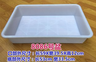 Plastic Rectangular Basin Thickened Big small size Turtle Breeding Plate Malatang Food Cooking Box White Cat Gangyi