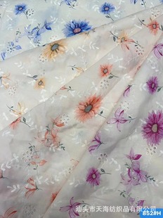 Factory direct approval of the new in stock chiffon printing hollow embroidery French gentle wind dress women's clothing fabric