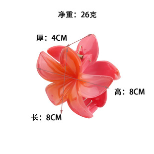 European and American Cross-border Color Plumeria Flower Hairpin Flower Grasp Clip Retro Women's Side Grasp Half Grasp Back Head Shark Clip