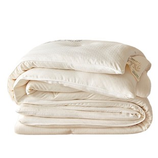 Soft Waxy Jacquard 55% Soybean Quilt Class A Maternal and Infant Grade Ecological Raw Cotton Quilt Core Soybean Winter Quilt Warm Quilt
