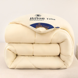 Hilton five-star hotel feather velvet quilt dormitory quilt spring and autumn quilt winter quilt core gift quilt cotton bedding batch