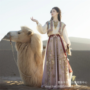 Photo Studio Photography New Heavy Industry Ancient Country Desert Princess Exotic Style Dunhuang Ethnic Flying Hanfu Desert Exotic