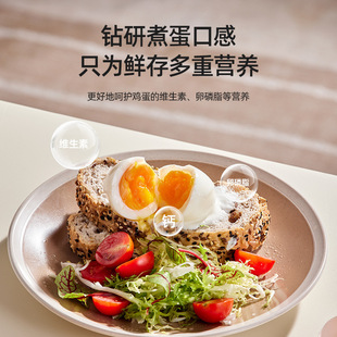 Motor Egg Boiler Small Breakfast Machine One-person Boiled Egg Artifact Intelligent Egg Steamer Full-automatic Power-off Household