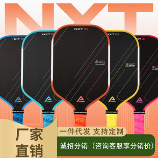 AMASport Ameishi High-end игра Pike ракетка T700 углеродного волокна тренировочный матовый pickleball