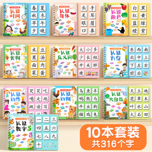 Literacy Book for Children to Recognize Words, Enlightenment, Early Education, Quiet Book, Children's Literacy Cards, Full Set of Kindergarten Baby Cognition