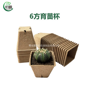 Disposable Pulp Seedling Cup 6cm Square 4 Holes Seed Germination Root Protection Degradable Pulp Seedling Cup