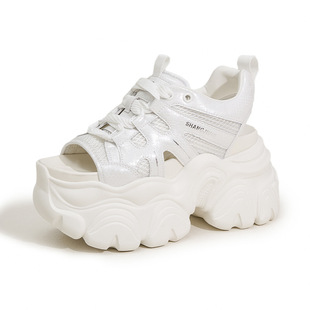 Women's Platform Sandals 2025 Summer New Hollow-out High-height Shoes Mesh All-match Hole Shoes All-match Outer Wear Beach Shoes