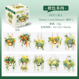 Beautiful day tape small hanging basket series potted theme hand account DIY decoration cycle stickers 6