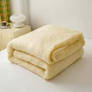 7A Antibacterial Raw Cotton Soybean Fiber Quilt Core Class A Student Dormitory Summer Cool Quilt Thickened Winter Quilt Gift Quilt