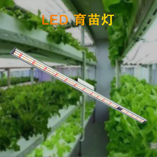 led tissue culture lamp seedling pot plant hydroponic lamp seedling supplementary light growth lamp cultivation full spectrum plant lamp strip