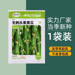 Jinyan No. 4 Cucumber Seeds, Autumn Cucumber Seeds, High-Yielding Cucumber Seeds, Four-Season Fruit Seedlings and Vegetable Seeds