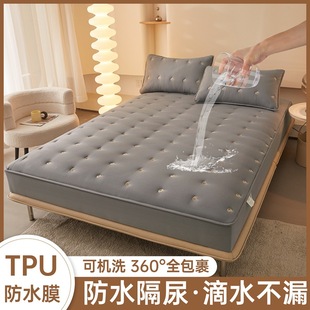 Cross-border Foreign Trade Autumn and Winter Raw Cotton Soybean Antibacterial Cotton Full Wrap Dustproof Waterproof Bed Cover Mattress Protection Cover