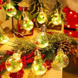 Cross-border Wishing Bottle Light String Santa Claus LED Light Bulb Snowman Christmas Tree Transparent Bulb Holiday Decorative Light