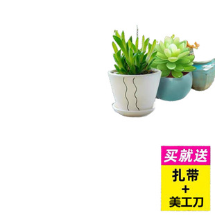 Balcony protection net anti-safety anti-falling net anti-cat sealing window plastic grid fence anti-theft window net anti-leakage net
