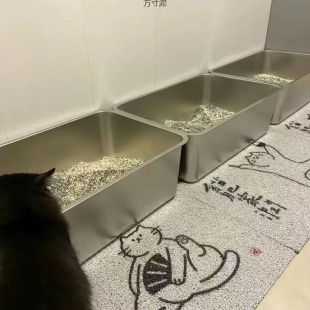 Stainless Steel Special Sand Cat Litter Basin Oversized with Cover with Ear Handle Food Turnover Square Basin Meal Collection Large Sand Basin Factory