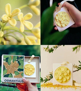 Fu engraved aromatherapy incense hanging Cultural Creative Fragrance Pendant home car hanging piece gift box