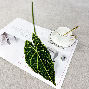 Трансграничное новое моделирование зеленого растения Aloca Leaf Бегония Листья Цветные листья таро Свадебный дорожный цветок стены цветочный дизайн DIY