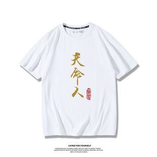 Black Myth Wukong Same Style Steam Monkey King Peripheral Short-sleeved T-shirt Men's and Women's Summer Pure Cotton Printed Animation