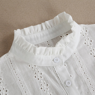 Autumn and Winter Spring Holiday Collar Women's Sweater Shirt Decorative Simple Collar Fashion Simple Commuting Style Inner Base Pleated Collar