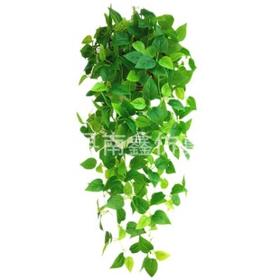 Artificial plant artificial flower rattan plastic green leaf leaves green dill leaves hanging orchid wall hanging decorative vine green plant wholesale
