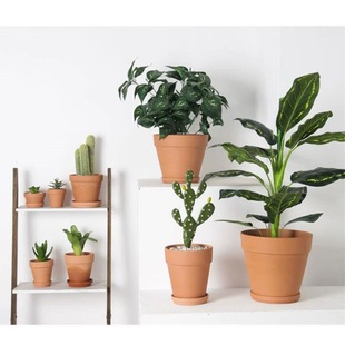 Red Pottery Pot Red Clay Flower Pot Ceramic Belt Tray Simple Fleshy Small Flower Pot Plant Potted Plant for Hair