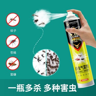 Insecticidal Aerosol Spray Household Large Bottled Insecticidal Aerosol for Mosquitoes, Flies and Cockroaches