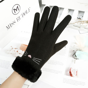 De Rong touch screen autumn and winter women's gloves padded warm plus velvet Korean fashion riding windproof wholesale a generation of hair