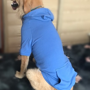 Pet clothing wholesale autumn and winter big dog clothes monochrome cotton hoodie hoodie large dog hoodie