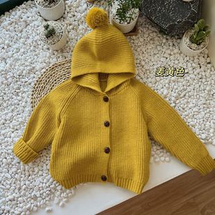 2024 Spring and Autumn New Boys and Girls Hooded Jacket Children's Design Sense Soft Sweater Korean Style Niche Cardigan Top