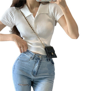 2024 Summer Internet Popular Korean Style Retro Small Lar Short-Sleeved Knitted T-Shirt Women's Slim-Fit Slimming Short Top Ins