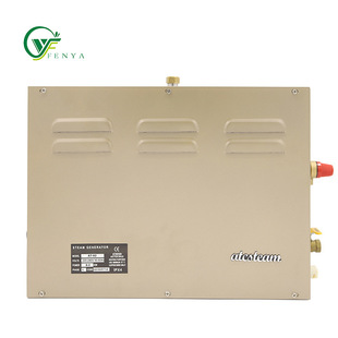 Sauna Steam Machine automatic descaling factory direct supply heating steam equipment wet steam room AT series fumigator