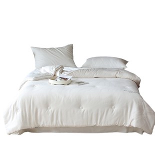 Class A Comfortable Breathable Woody Jacquard Mulberry Silk DuPont Spring and Autumn Quilt Thickened Winter Quilt Warm Single Double Quilt Core