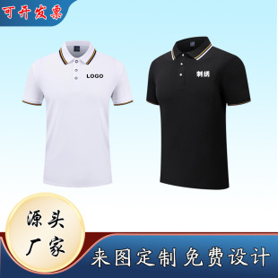 Summer Lapel Polo Shirt Work Clothes Advertising Shirt Embroidery Printing Logo Activity Group Clothes Enterprise Work Clothes
