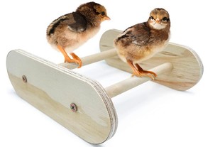 Parrot stand Pet Chicken Oval stand cock hen Parrot bird stand