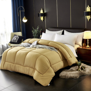 ☾ Hotel Bed Pure White Double Spring, Autumn and Winter Quilt Single Thickened Warm Nine-Hole Silk Cotton Quilt Core