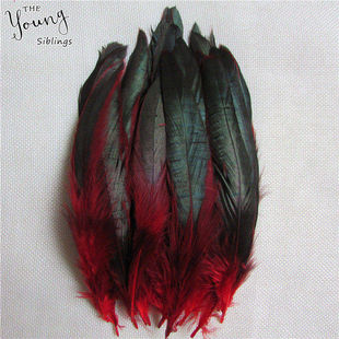 Small feather handmade jewelry accessories pheasant feather duck feather cat material shop dream net peacock blue piece