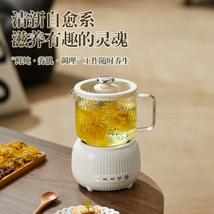 All Glass New Style Health Pot Multi-function Household Kettle Small Office Tea Boiling Artifact Flower Teapot Gift