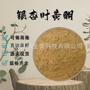 Ginkgo biloba flavonoids 24% lactone 6% ginkgo biloba extract ginkgo biloba powder ginkgo biloba lactone in stock