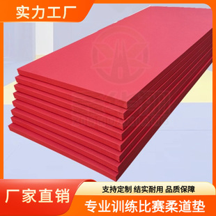 Judo Mat Professional Competition Training Wushu Sanda Fighting Wrestling Mat Tatami Daoist Anti-Slip Mat Jujitsu Mat