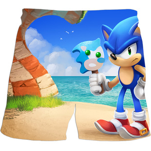 Hedgehog Series 3D digital printing cartoon pattern children's shorts boys casual beach foreign trade supply