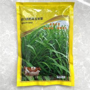 Rye Grass Seeds, Perennial Pasture Seeds, Livestock Breeding Grass Seeds, Chickens, Ducks, Cattle, Sheep, Fish Grass Seeds, All Year Round
