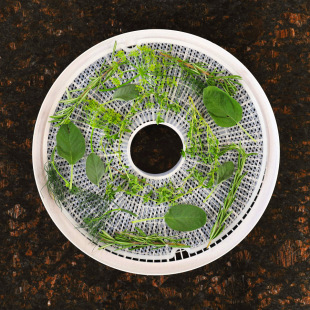 Dane Pane Plate Fruit Puree Dewatering Plate Preserved Fruit Roll Drying Plate Nesco Series Food Dryer Dried Fruit Machine Accessories