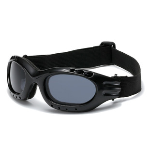 New outdoor auto parts snow ski motorcycle goggles big dog pet glasses colorful anti-wind protection mirror