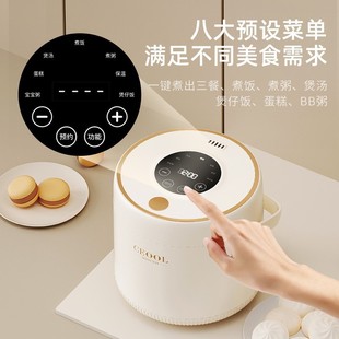 German OSTMARS manufacturers intelligent rice cooker household mini small multifunctional 2L rice cooker a generation of hair