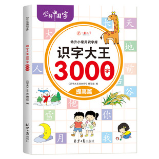 Literacy King 3000 Words Young to Small Words Library Young Children Pre-school Reading Chart Literacy Basic Literacy Books Wholesale