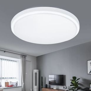 led ceiling light modern simple acrylic living room light Round led bedroom dining hall light balcony aisle Engineering light