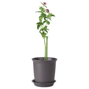 Horticultural plant support rod anti-lodging glass fiber splice phalaenopsis fixing frame climbing vine red bracket wholesale