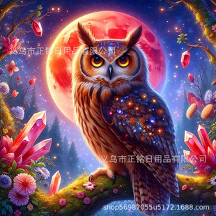 Amazon hot new full diamond owl hand-made diamond painting cross-border for manufacturers wholesale