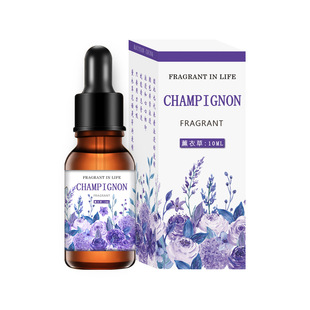 1 Bottled Aromatherapy Essential Oil Bedroom Lasting Incense Household Water Soluble Humidifier Special Plant Essential Oil for Aromatherapy Stone