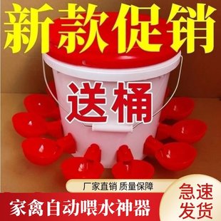New automatic drinking fountain for chicken, duck and goose drinking fountain drinking bowl drinking cup for pigeon, quail, ostrich